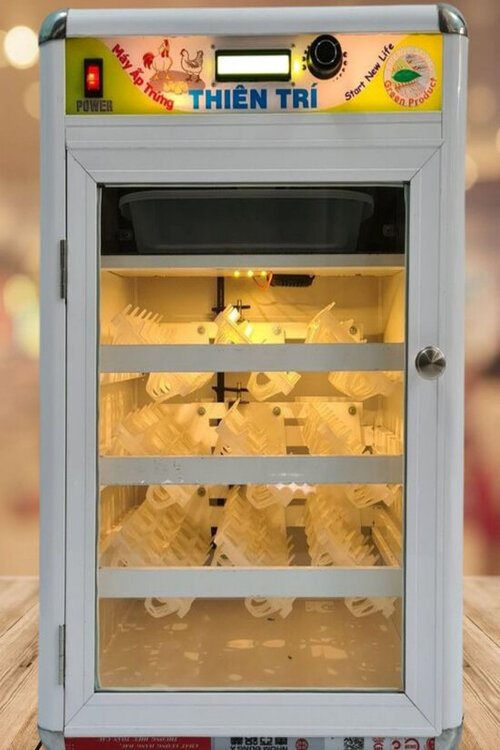 Máy ấp Trứng Mini Thiên Trí - Giải pháp hoàn hảo cho những hộ nuôi gia cầm. máy ấp trứng mini Thiên Trí