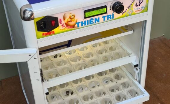 Máy ấp trứng mini tự đảo Thiên Trí